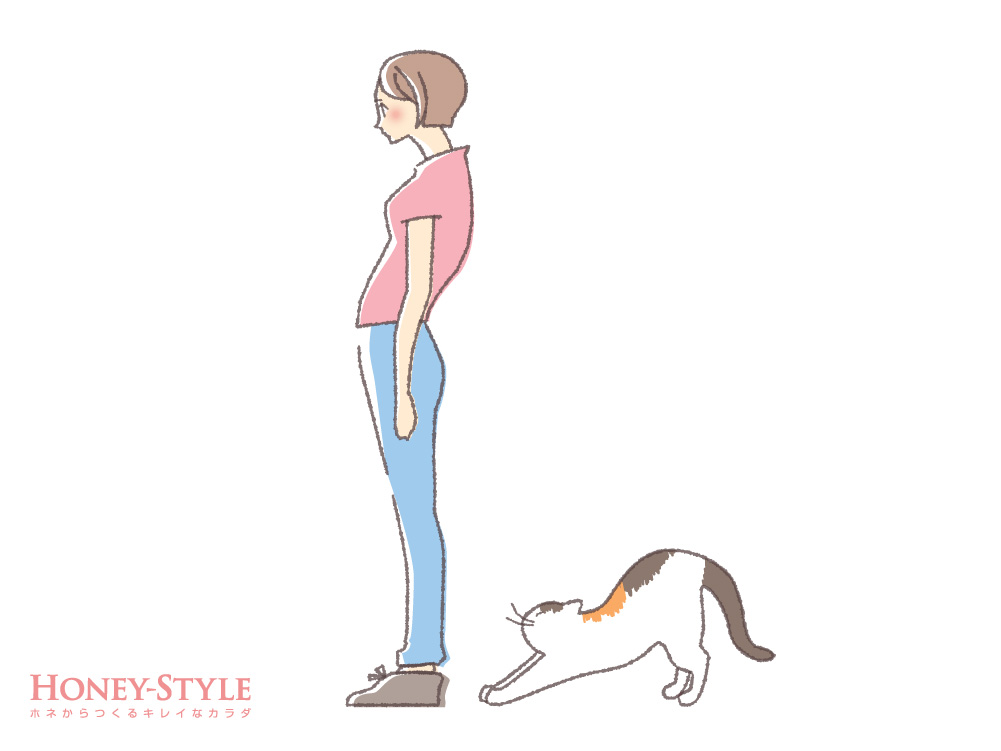 S字型猫背タイプ