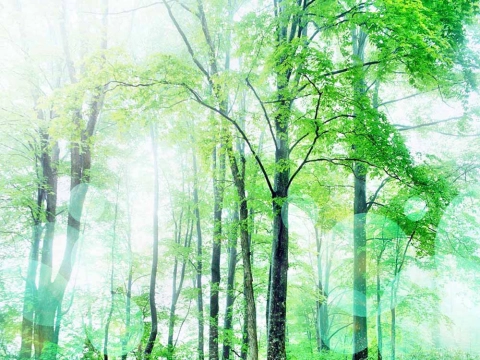 自律神経失調症とは？