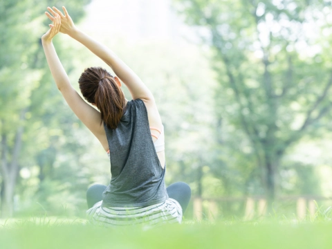 血管がゴースト化!?毛細血管が支える健康のヒミツ