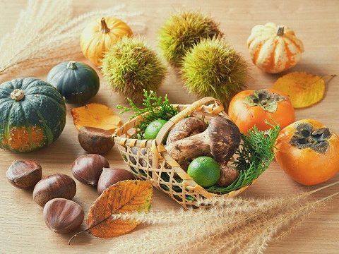 “食欲の秋”と言われるのはなぜ？秋に食欲が増す理由と簡単食べ過ぎ対策をご紹介