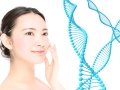 年齢サインを感じたら？「若返り」へと導く3つの注目成分