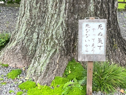 市川整骨院　針灸院　漢方薬店の写真5