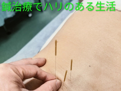 林はり接骨院の写真