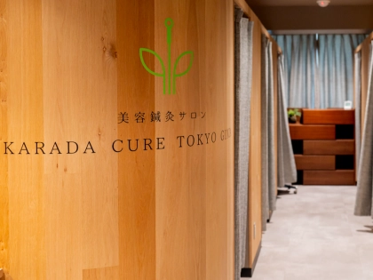 カラダキュア東京銀座の写真2