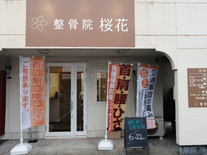 整骨院桜花 ハニースタイル
