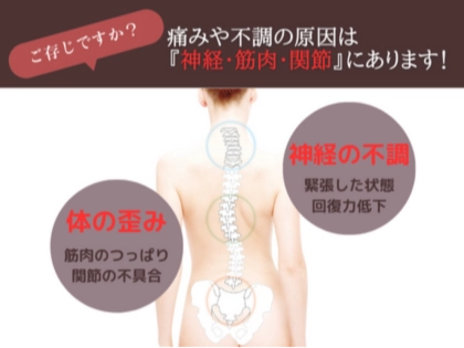 ほねつぎ厚木鍼灸接骨院の写真3