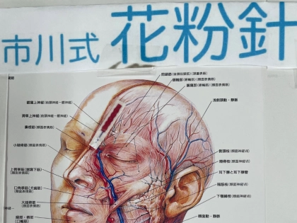 市川整骨院　針灸院　漢方薬店の写真